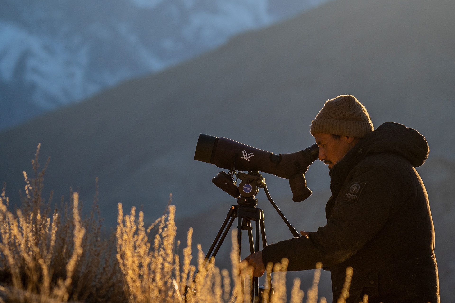      MN          DSC      | Nature Infocus