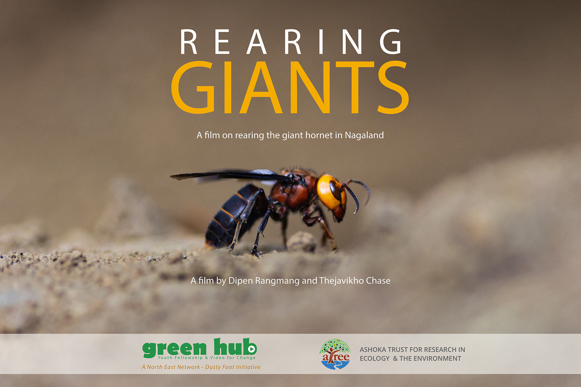 Rearing giants movie poster - Nature inFocus Film Awards 2020: The Winners | Nature inFocus