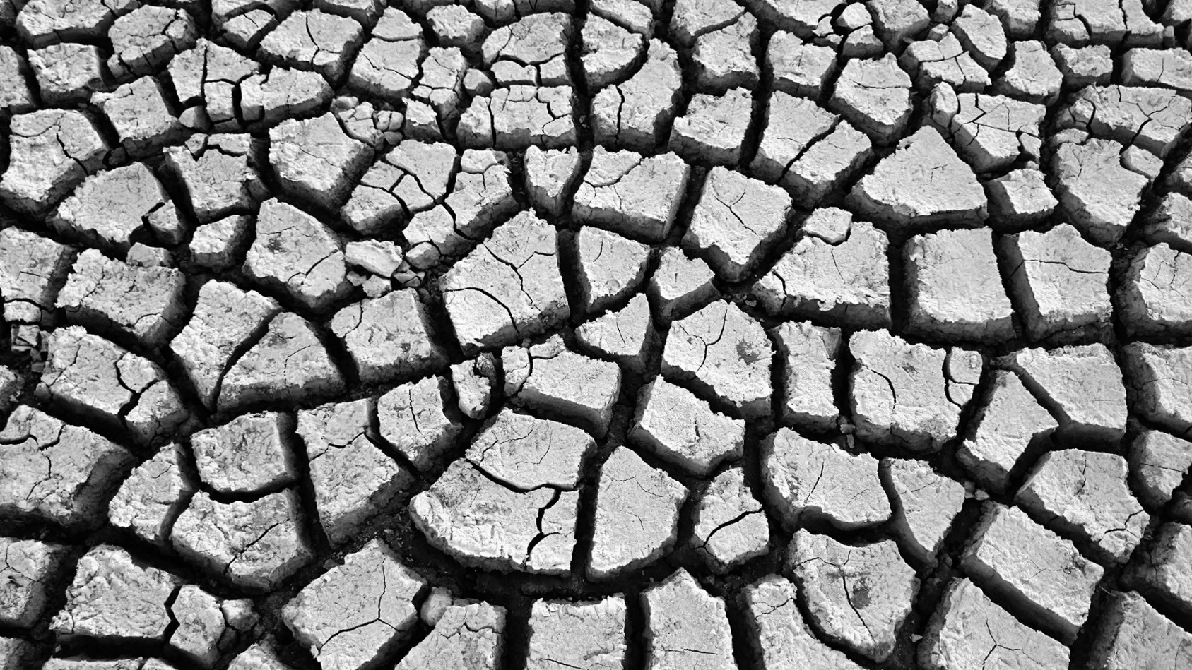 All it's cracked up to be.Little Rann of KutchPhotograph: Shaunak Modi
