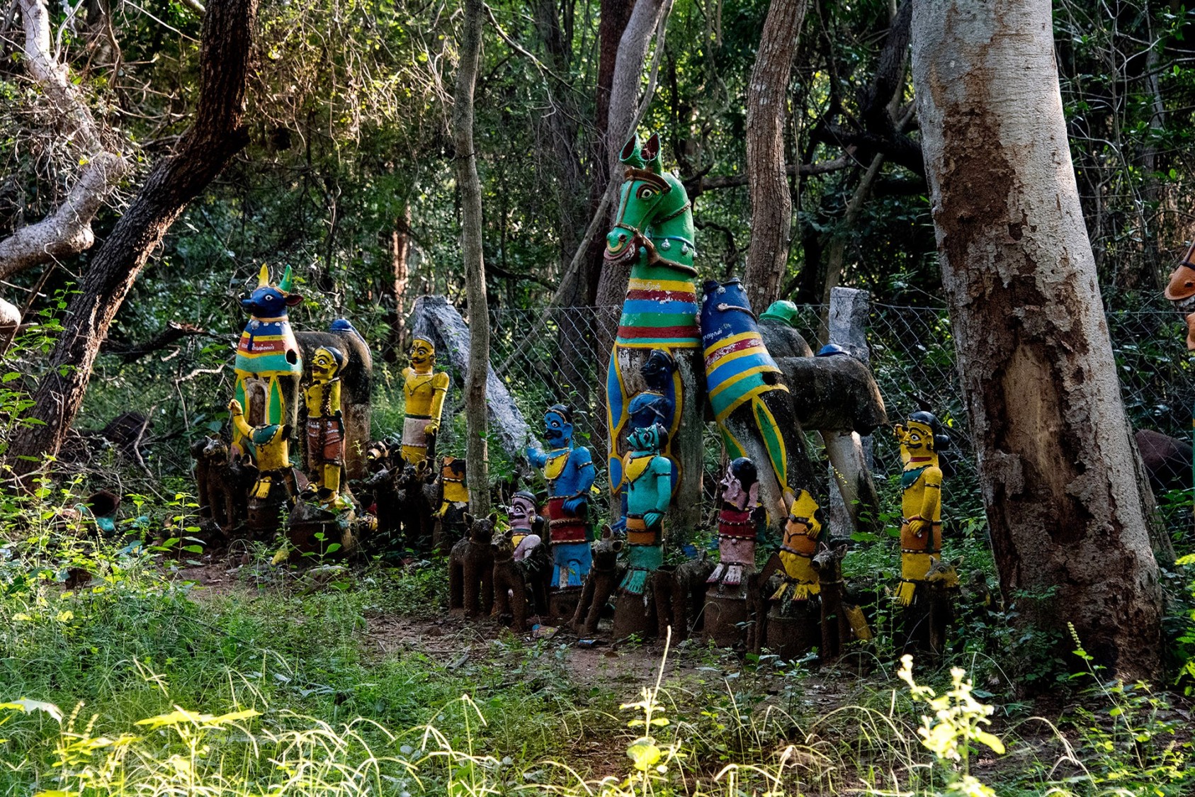A sacred grove called Veerakovil Kadu, near Madurai in Tamil Nadu. Nature worship predates most modern religions, and in forest patches like these, the old gods still persevere. Small temples within the grove are dedicated to the residing deities. In Tamil Nadu, it is usually a snake god, but Ayappan, Murugan and Amman are also worshipped in some places. The venerated forest is also a repository of natural vegetation and biodiversity.Photograph: Sriram Janak