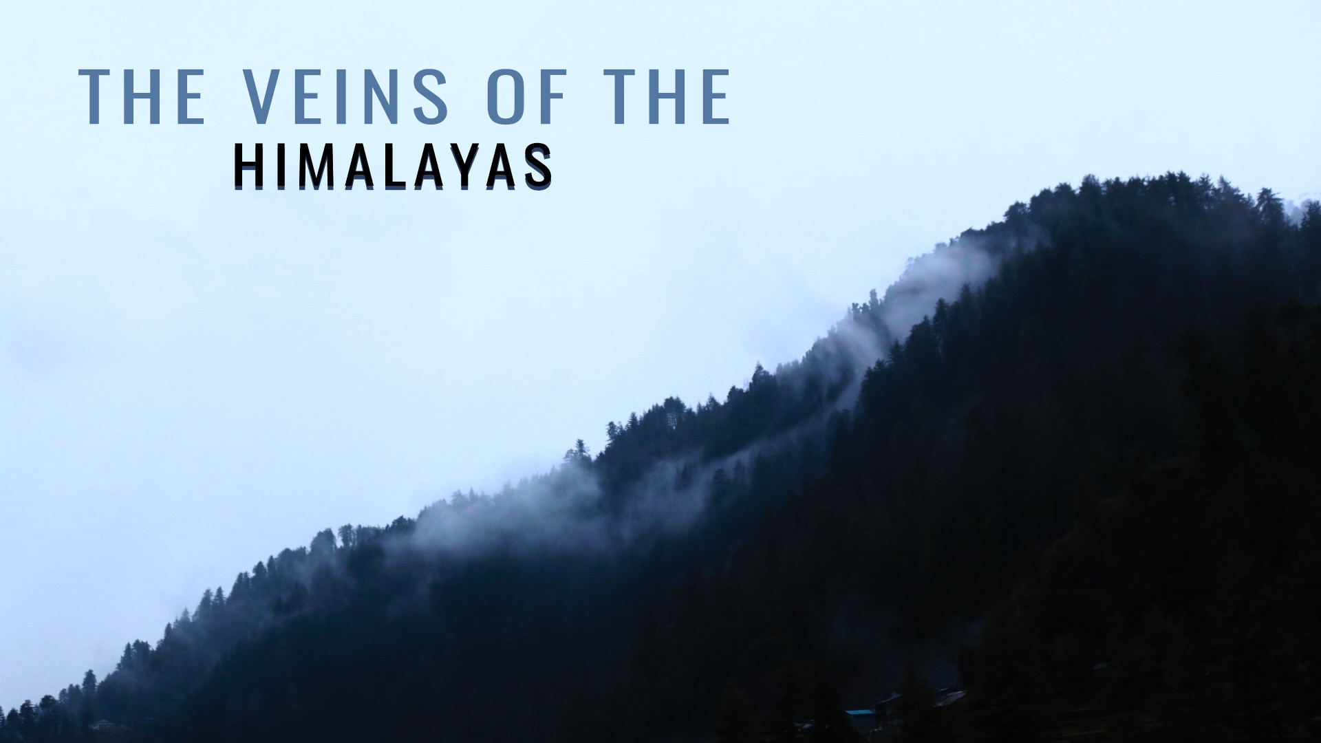 Veins poster - Nature inFocus Film Awards 2020: The Winners | Nature inFocus
