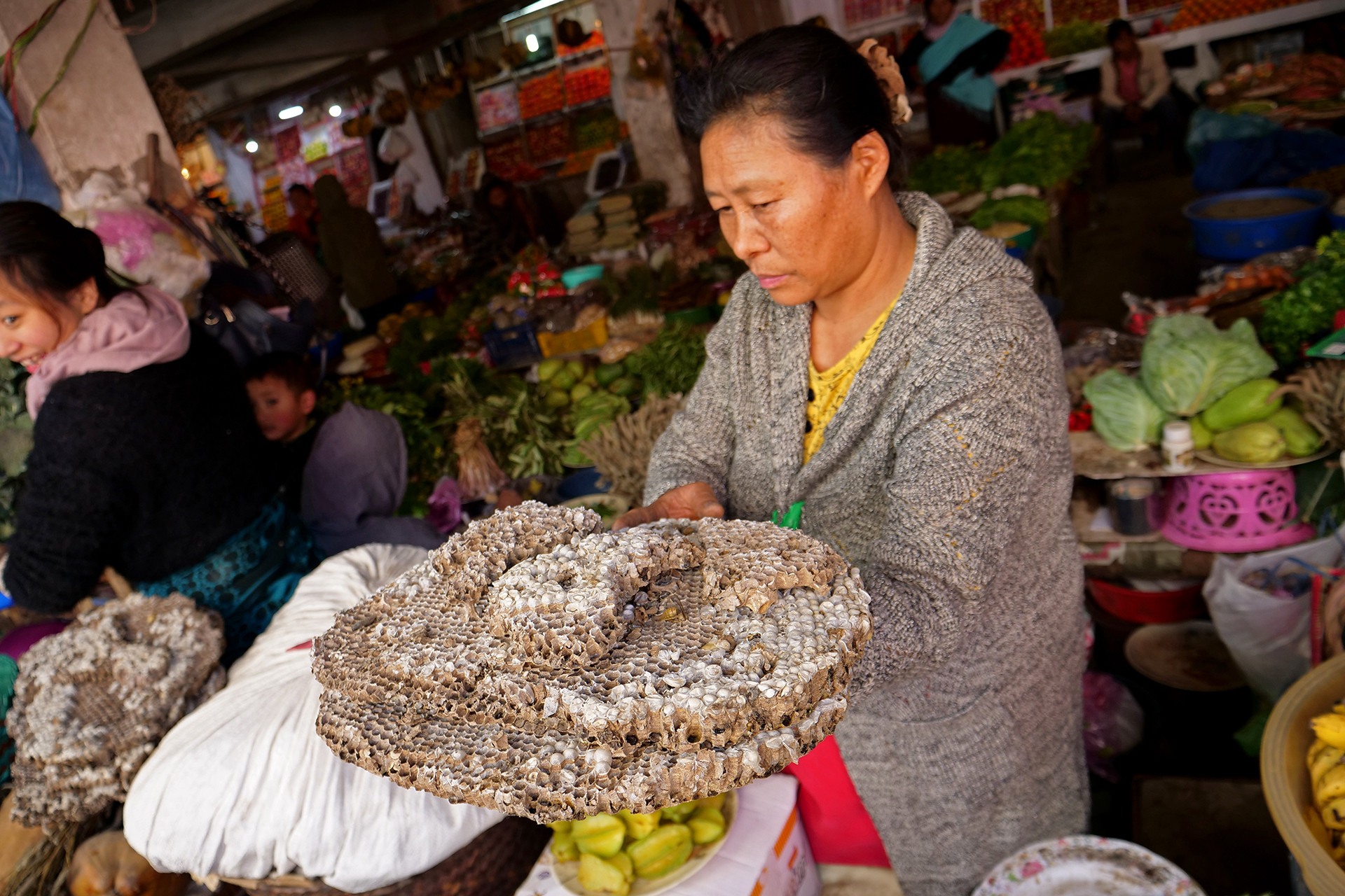 Woman selling hornet hive in mao market kohima nagaland - Are Insects The Answer To Our Food Crisis? | Nature inFocus