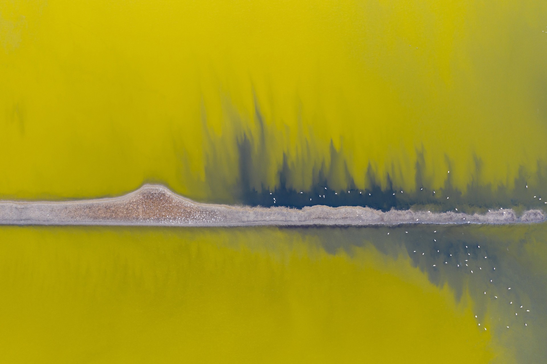 - Nature inFocus Photography Awards 2019: The Winners | Nature inFocus