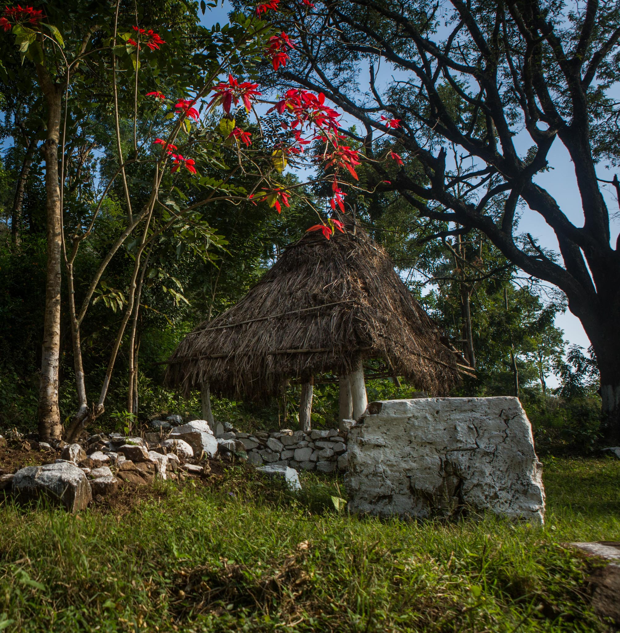 VLP TL | Nature Infocus