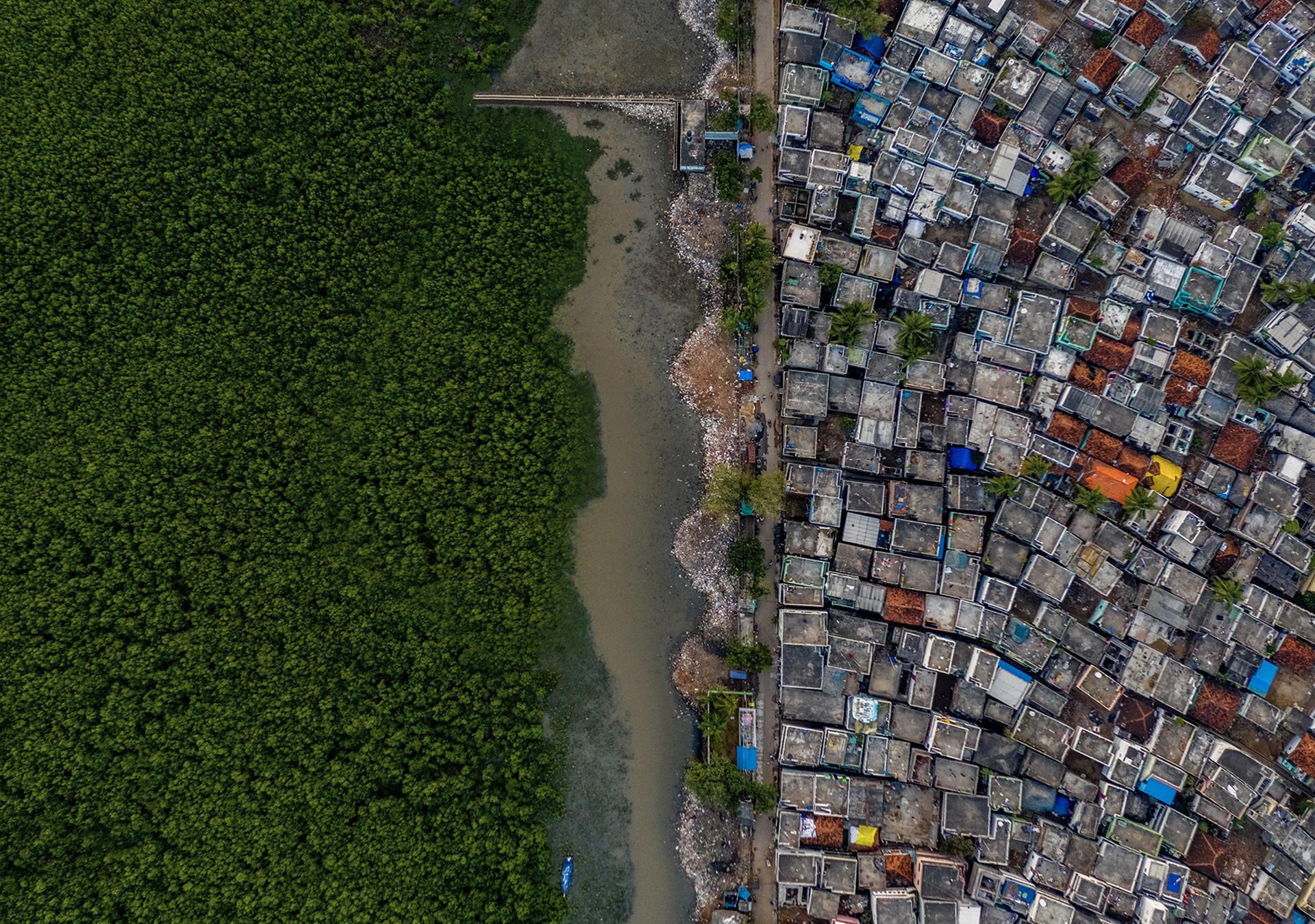 - Nature inFocus Photography Awards 2019: The Winners | Nature inFocus