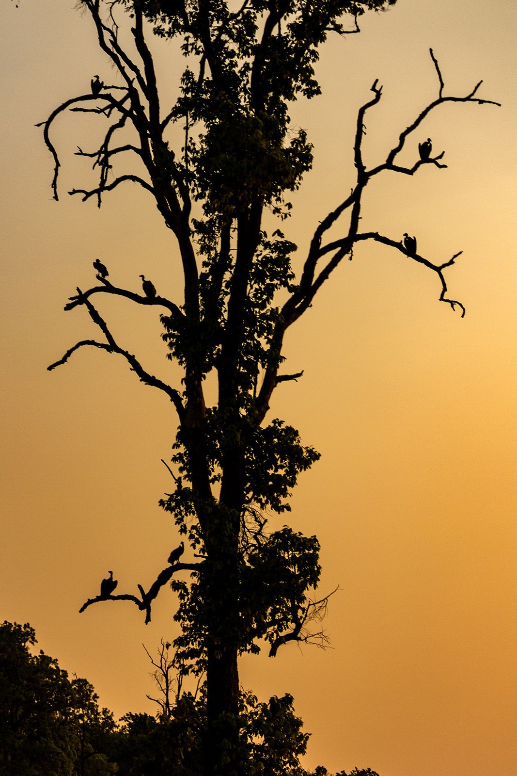- Nature inFocus Photography Awards 2019: The Winners | Nature inFocus