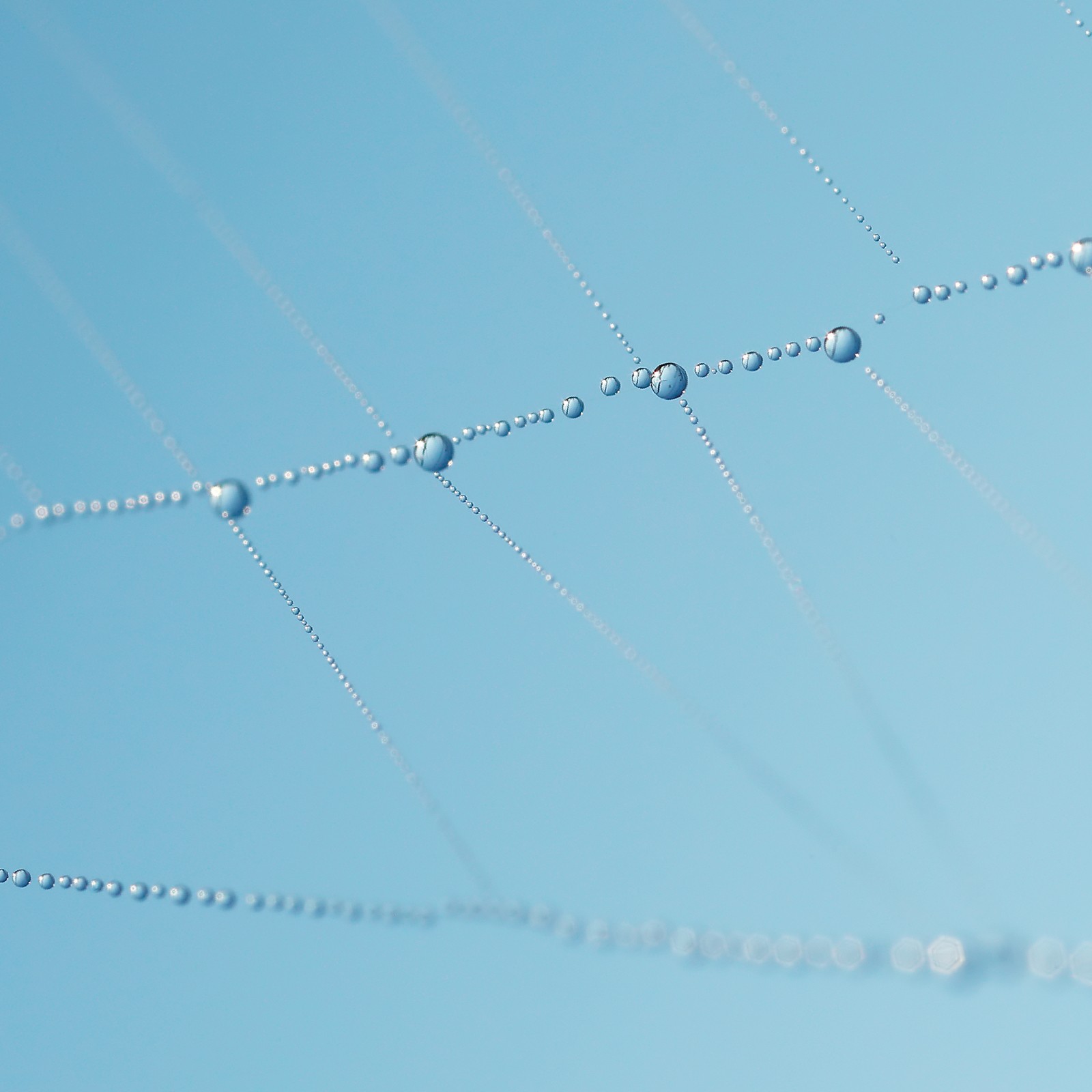 Lines and lives - Learnings From The Field: Saurabh Desai | Nature inFocus