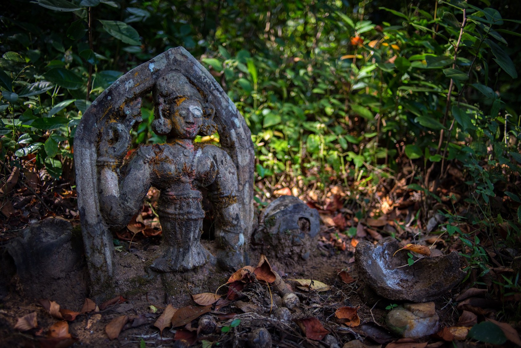 This is a sacred grove near a small hamlet on the Sirsi-Kumta Road, in the Uttara Kannada district of Karnataka. The patch is untouched, with thick forest litter underfoot, beneath a dense canopy of trees. There is a small clearing at the heart of this forest, where one can find a small statue of the local deity, and a few other idols made of mud. There is no direct path leading to this area, so it is easy to get lost navigating one’s way through the thick shrubbery.Photograph: Ashwini Kumar Bhat