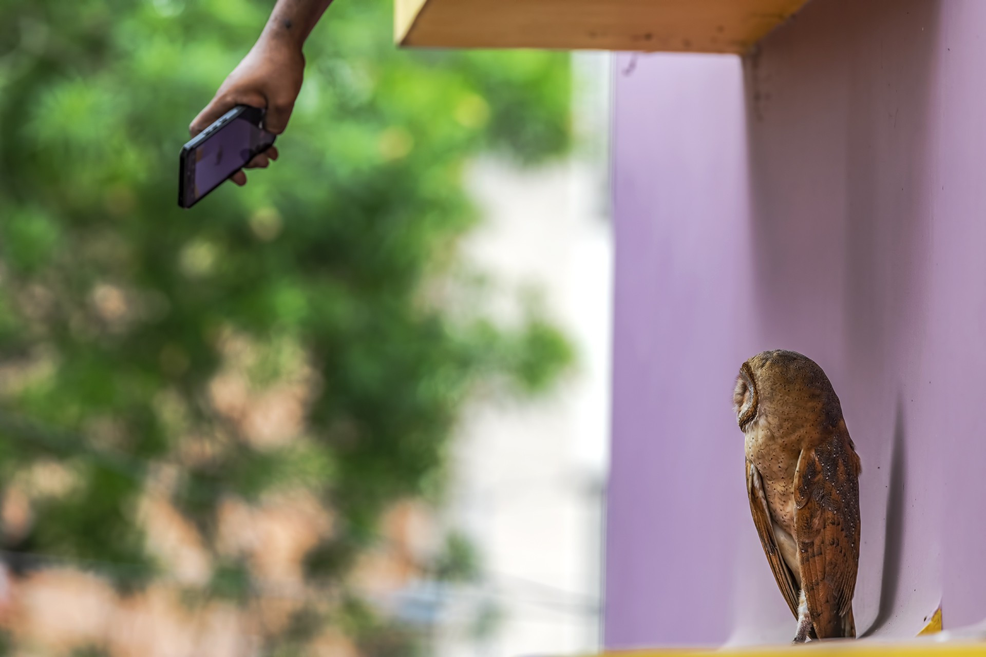Conservation issues special mention krishnendu mitra kmp - Nature inFocus Photography Awards 2020: The Winners | Nature inFocus