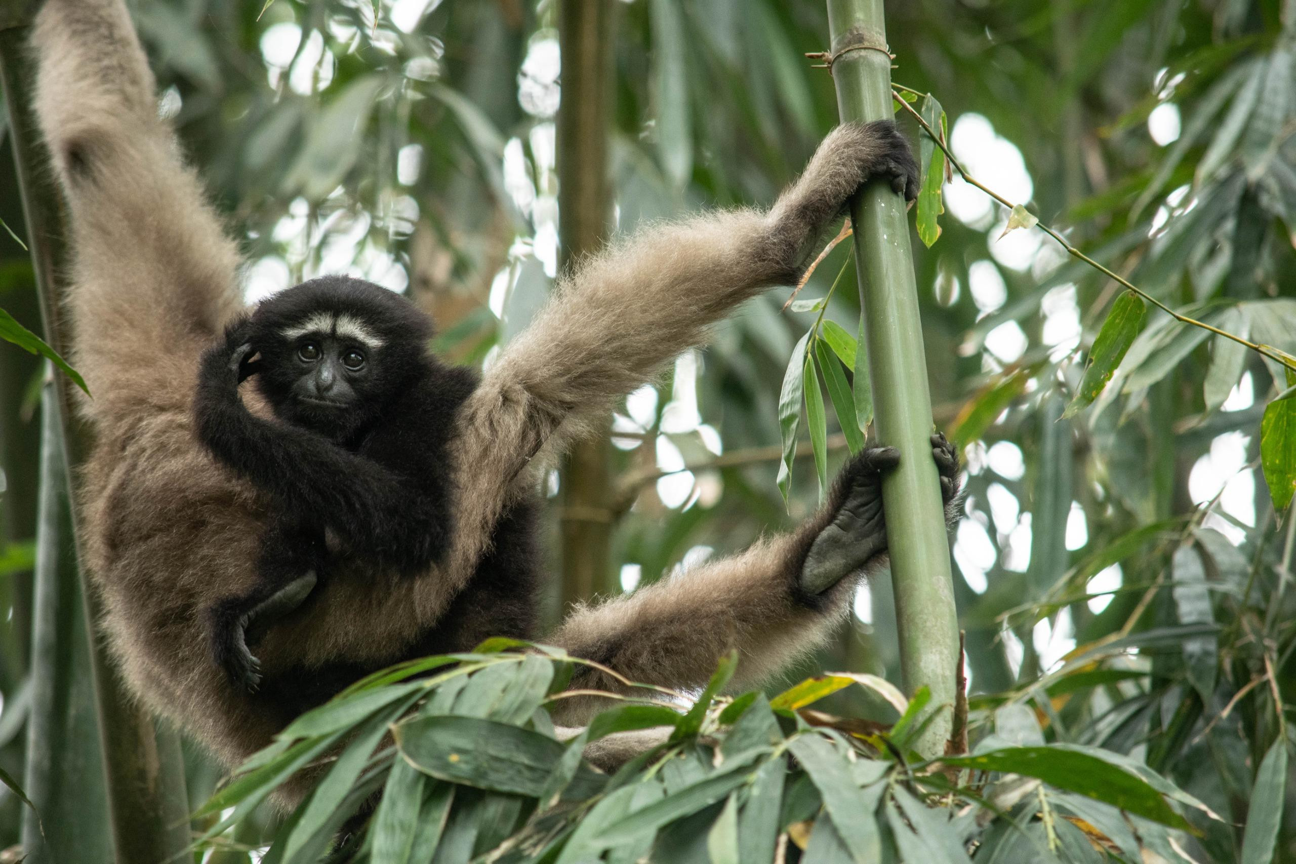 WhatsApp Image            at         PM | Nature Infocus