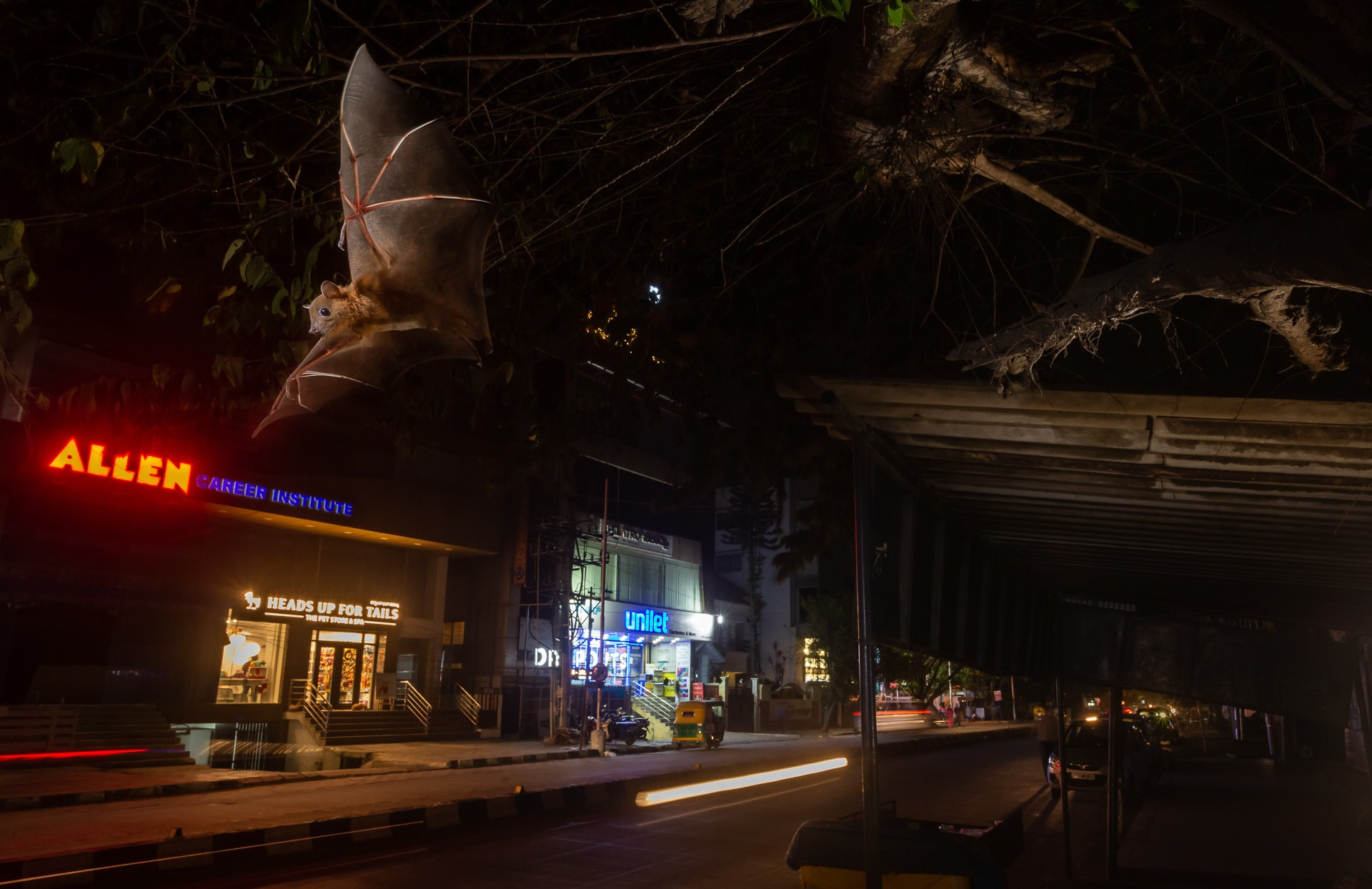 Wildscape and animals in habitat winner yashpal rathore knight rider - Nature inFocus Photography Awards 2020: The Winners | Nature inFocus
