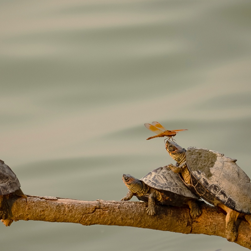 Photograph by Aditi Singh