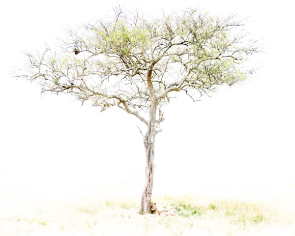 Art of Doing Nothing