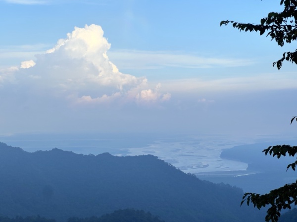 Latpanchar: Waiting for the Birds to Find You