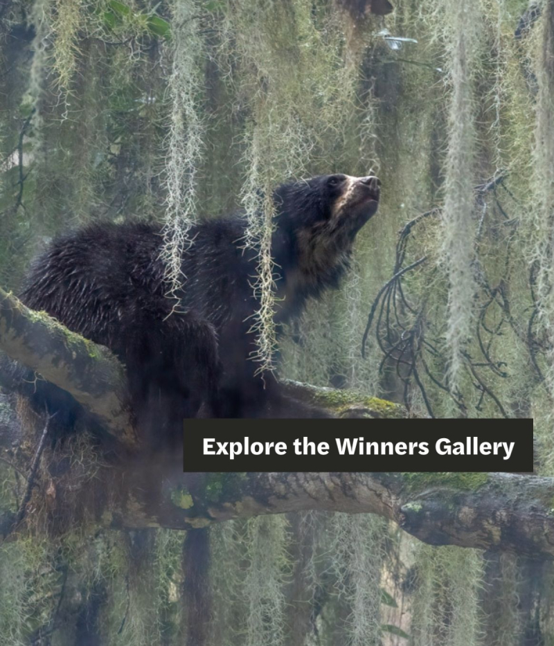 Nature inFocus Anniversary | Nature Infocus