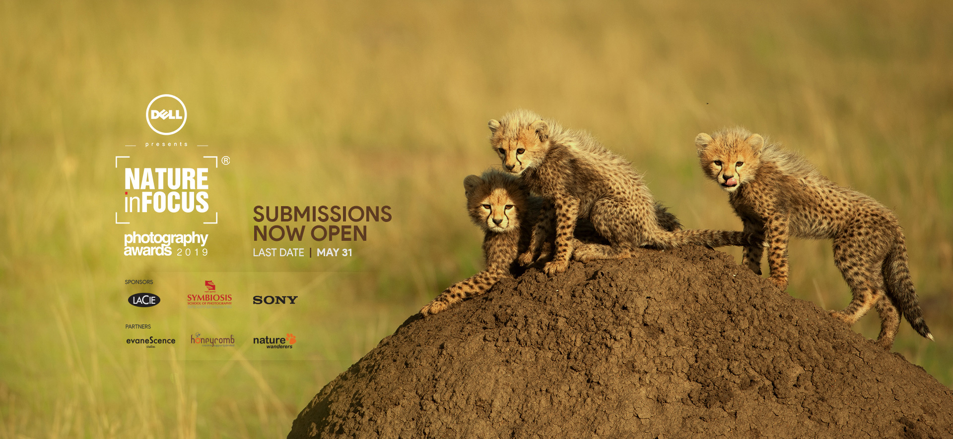 Wildlife Conservation In India Pdf