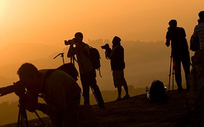 Festival - Nature travel, wildlife photography and conservation stories from India | Nature inFocus 