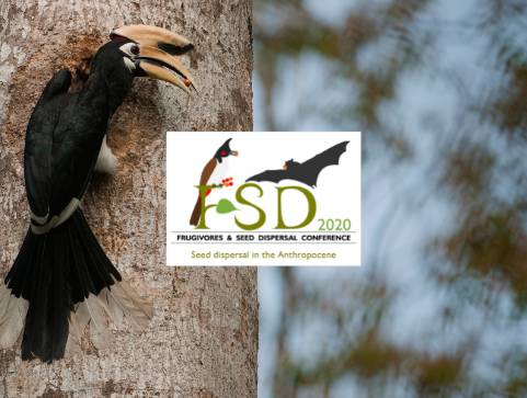 Brands in action | Frugivores & Seed Dispersal - Nature Infocus