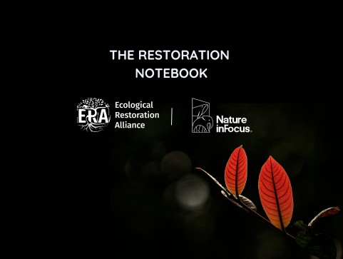 Brands in action | Frugivores & Seed Dispersal - Nature Infocus