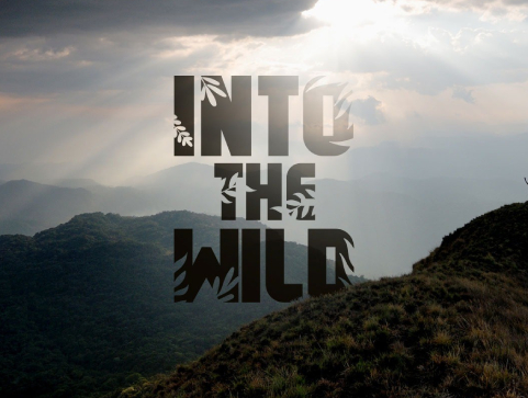 Brands in action | Call For Code - Nature Infocus