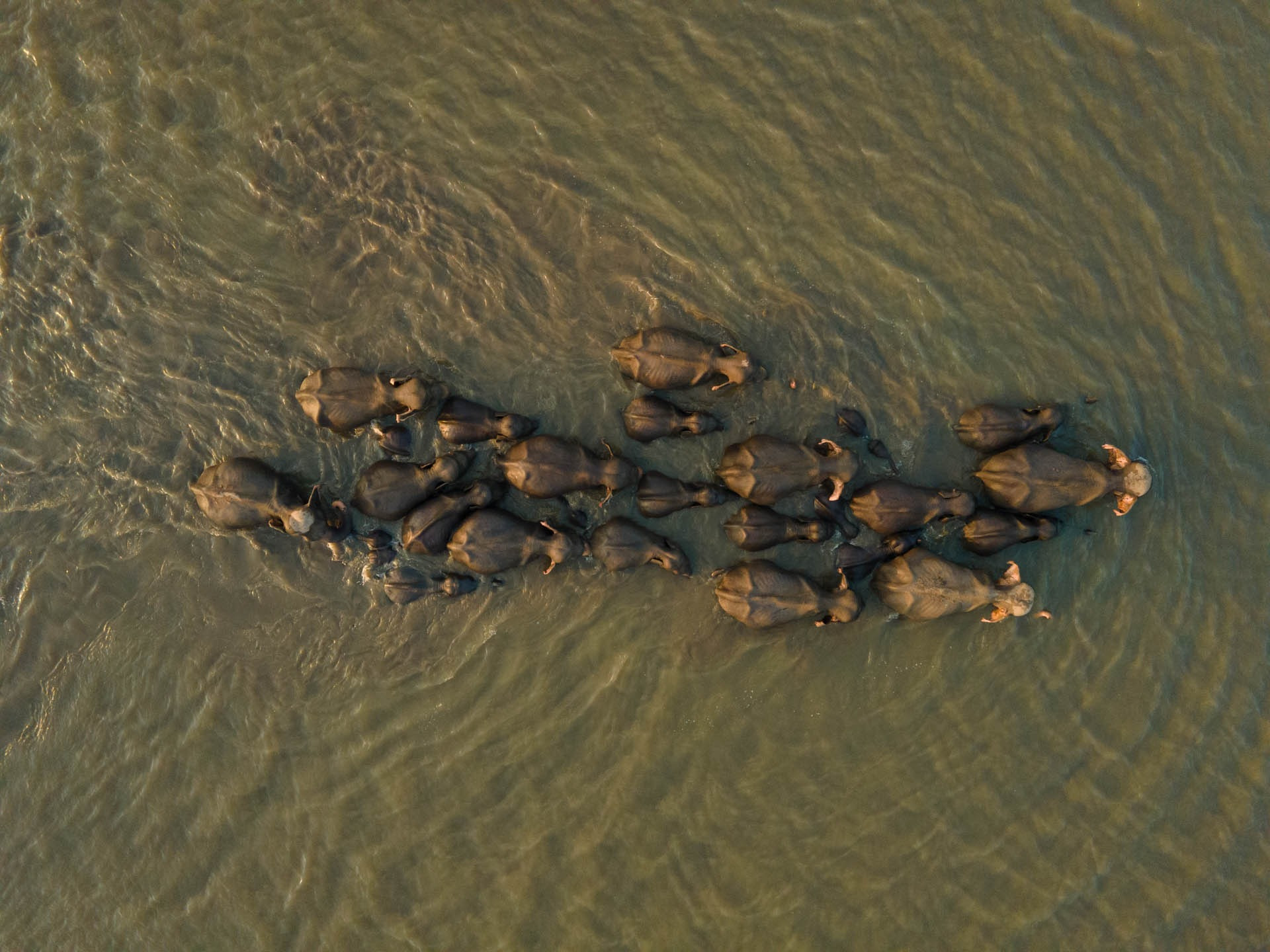 <b>Winner</b> | Photographer of the Year – Portfolio