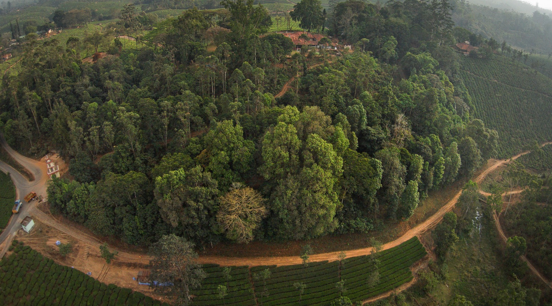 Restoring Rainforests In The Anamalai Hills | Nature inFocus