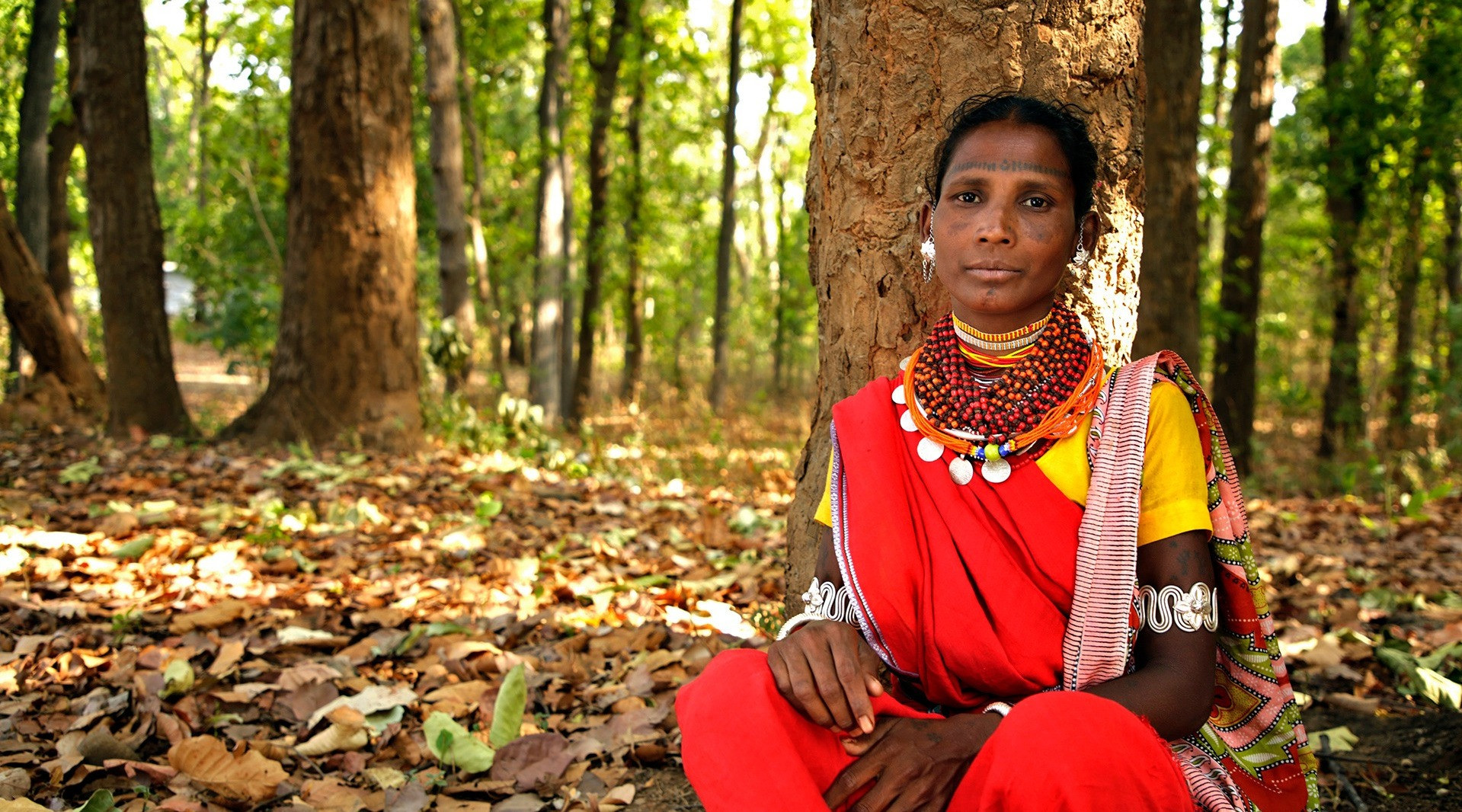 How Traditional Jewellery Is Conserving A Forest And Its People  | Nature inFocus