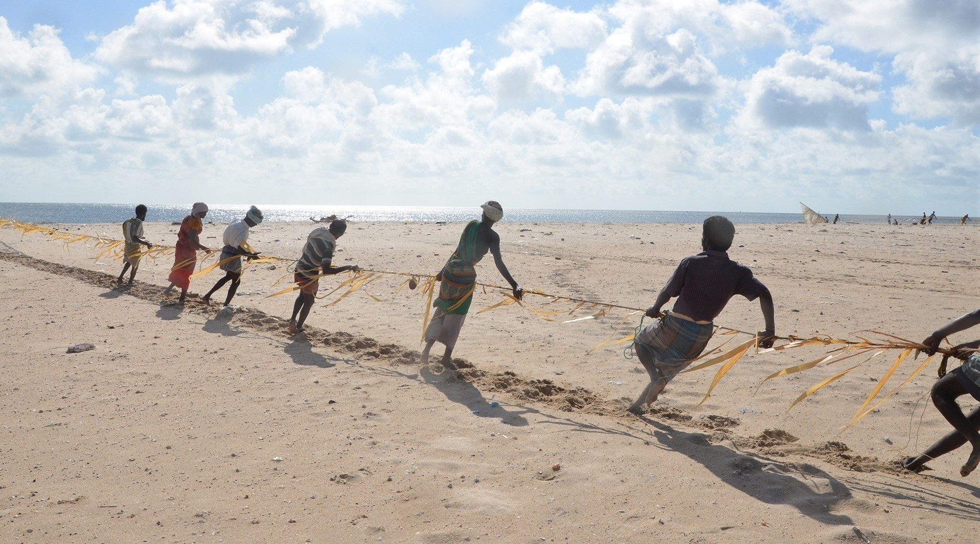 Pulling At Destiny: The Shore Seiners Of Tamil Nadu | Nature inFocus