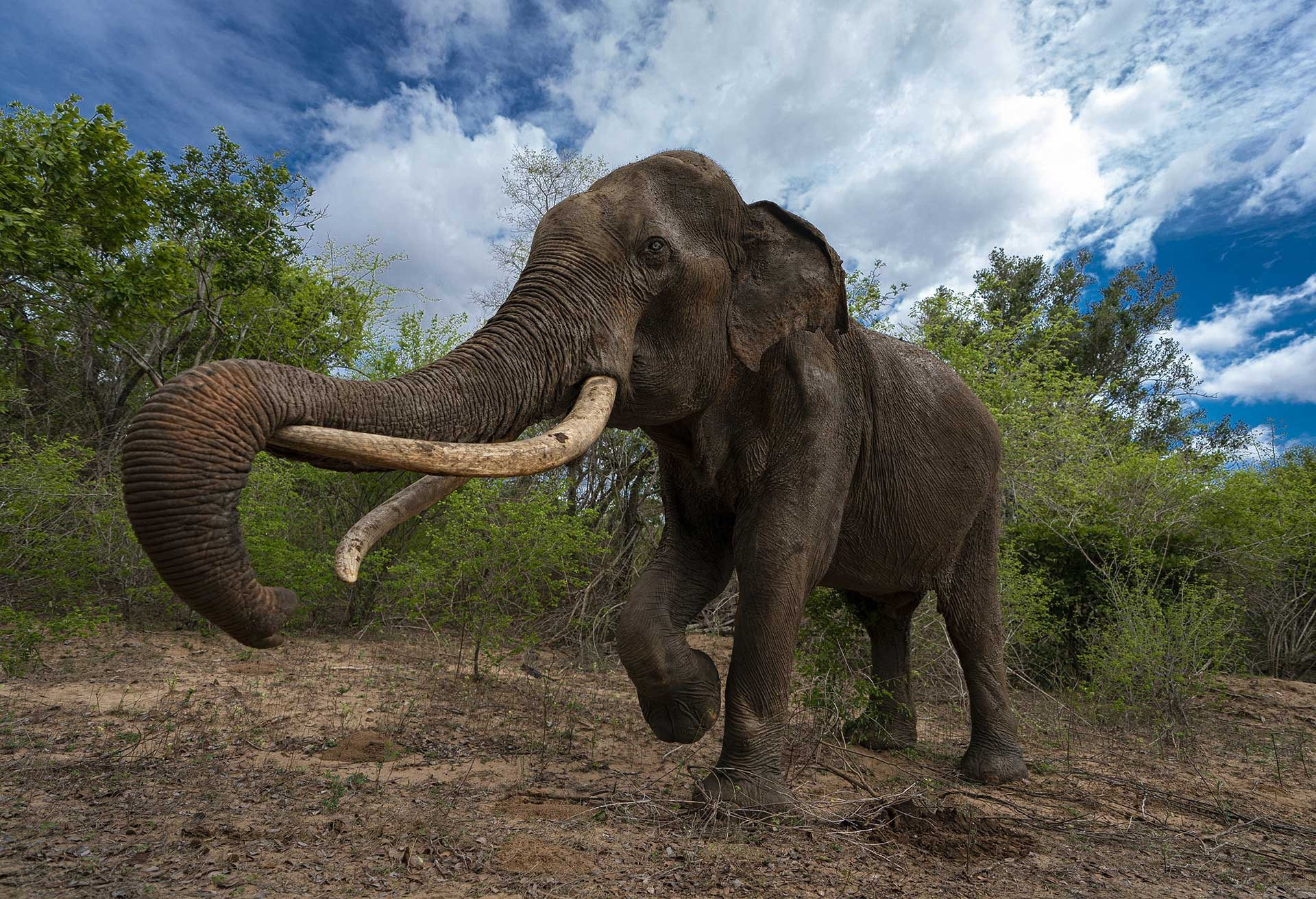 <b>Special Mention</b> | Photographer of the Year – Portfolio