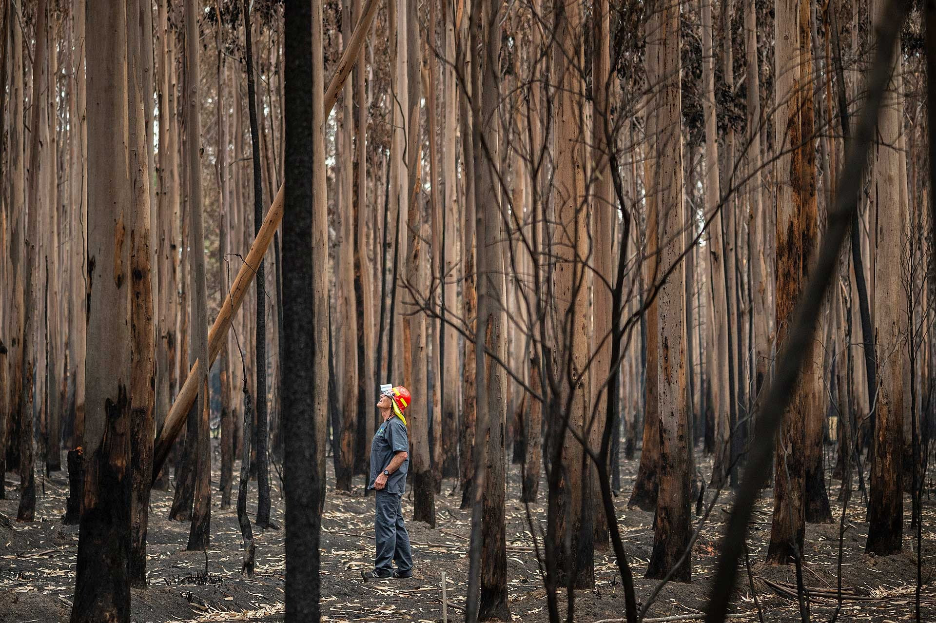 Winner | Conservation Focus