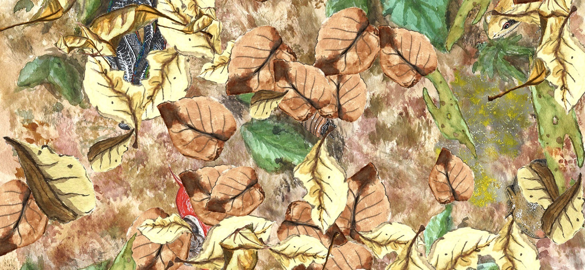 Secrets Of The Forest Floor