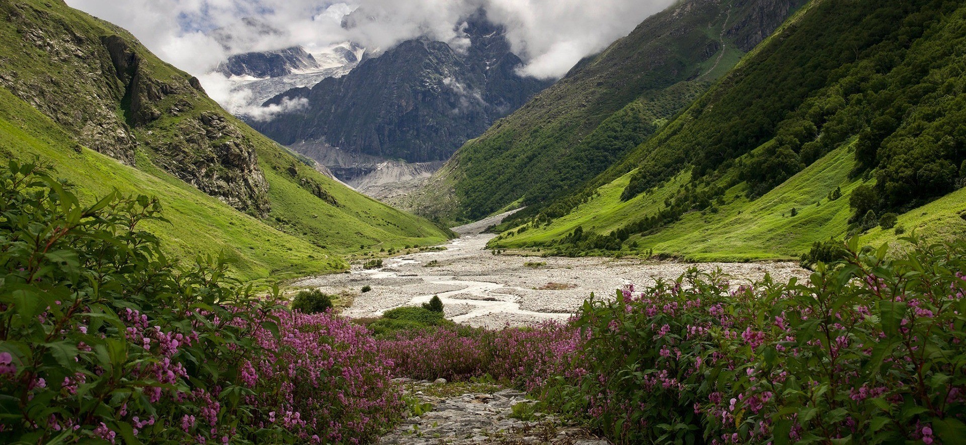 The Valley Of Flowers