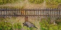 Winner | Ramki Sreenivasan Conservation Photography Award