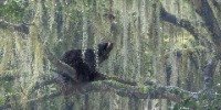 Winner | Wildscape & Animals in Their Habitat