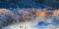 Special Mention | Wildscape & Animals in Their Habitat