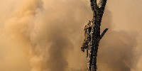 Special Mention | Young Photographer