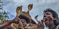 Special Mention | Conservation Focus