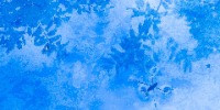Special Mention | Creative Nature Photography