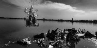Runner-up | Ramki Sreenivasan Conservation Photography Award