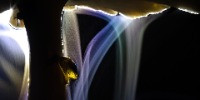 Special Mention | Creative Nature Photography