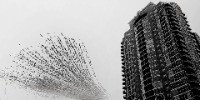 Runner-up | Creative Nature Photography
