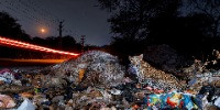 Winner | Ramki Sreenivasan Conservation Photography Award