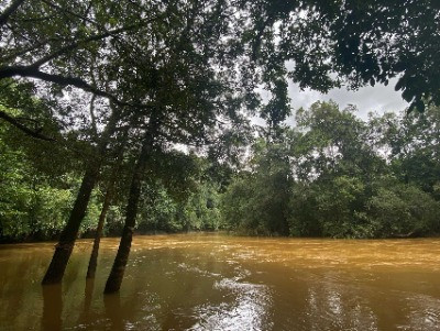 Anejhari Butterfly Camp: Gateway To The Mookambika Wildlife Sanctuary | Nature inFocus