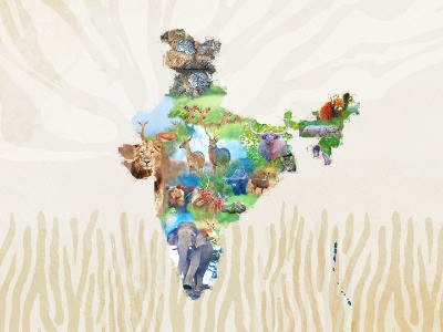 Meet The State Animals Of India | Nature inFocus