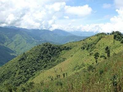 The Restoration Warriors Of Changlangshu | Nature inFocus