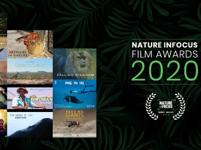 Nature inFocus Film Awards 2020: The Winners | Nature inFocus