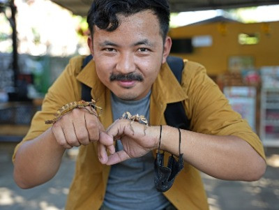 Zooming In On Edible Insects | Nature inFocus