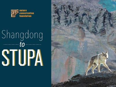 Shangdong To Stupa | Nature inFocus
