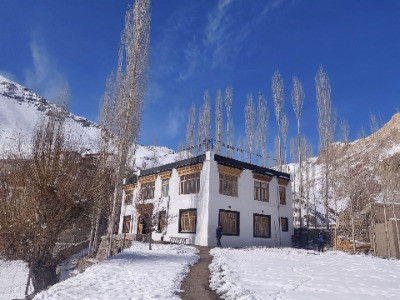 Snow Leopard Lodge: In The Abode Of The Grey Ghost | Nature inFocus