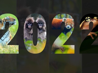 The Top Twelve Nature inFocus Stories Of 2022 | Nature inFocus